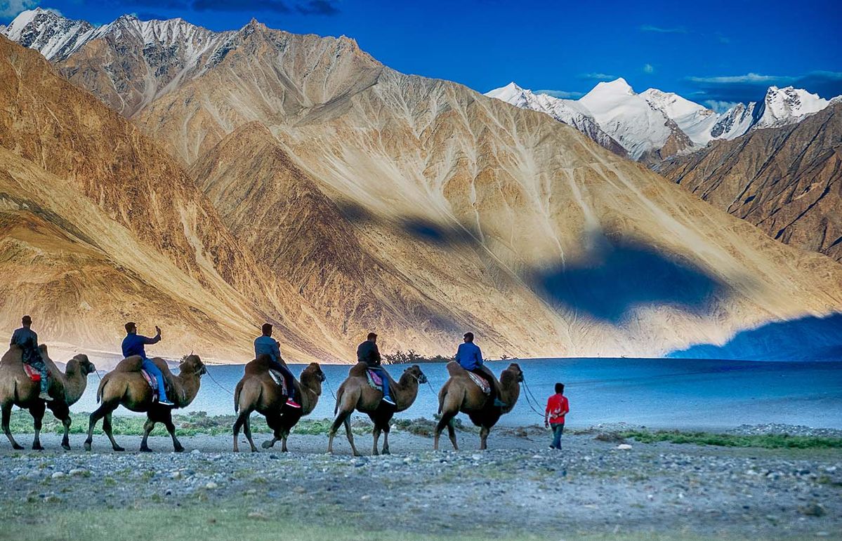 Trải nghiệm sa mạc Nubra