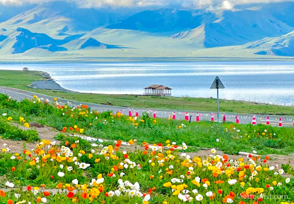 Tour Tân Cương 8 Ngày 7 Đêm: Khám Phá Tuyệt Tác Thiên Đường Tây Bắc